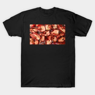 chili peppers T-Shirt